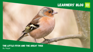 Small bird on a tree branch with green learners' blog boarder