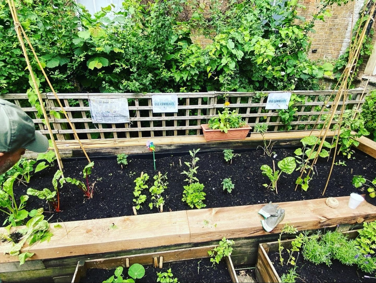 St Charles Allotment