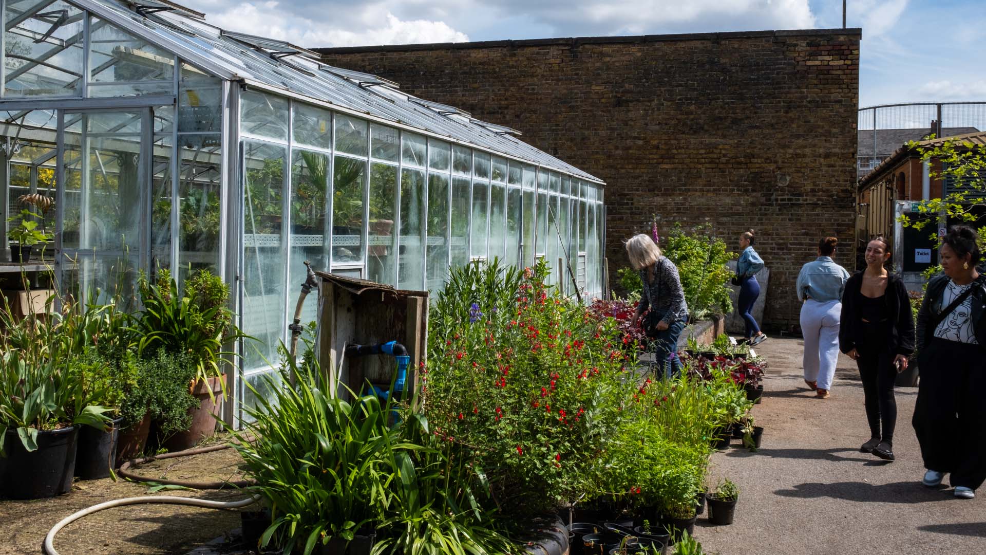Greenhouse on the Westway estate