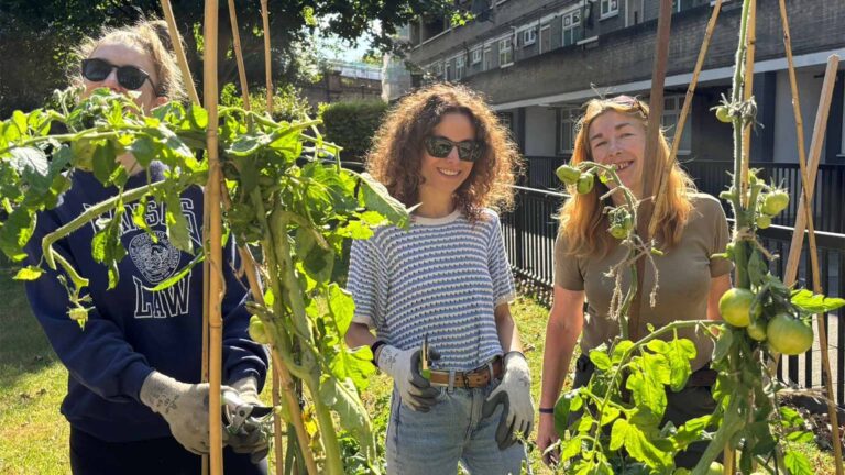 Corporate volunteers working onsite