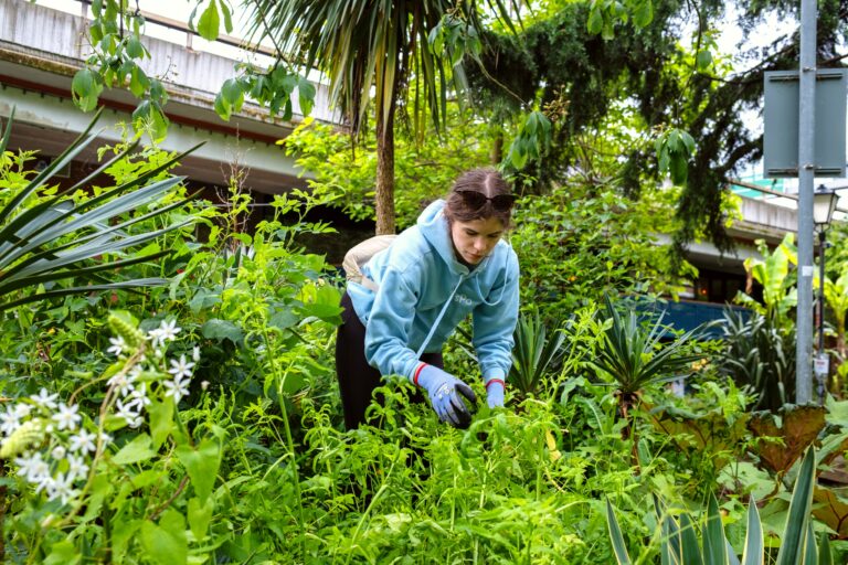 Westway Trust Environment Forum